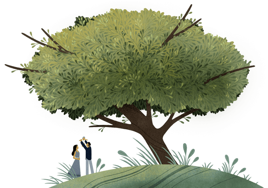altruist company illustration